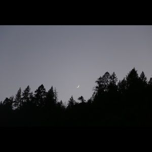 Meet your Posher, Elsie